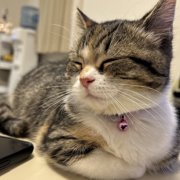 ココロ画像