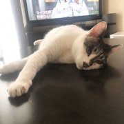 ラブ画像