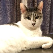 ラブ画像