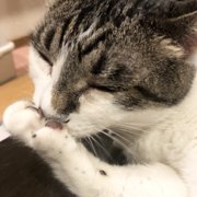 ラブ画像