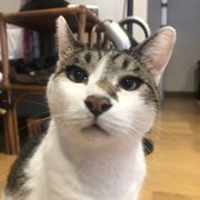 ラブ画像