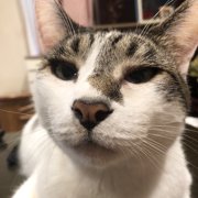ラブ画像