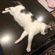 ラブ画像