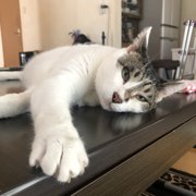 ラブ画像