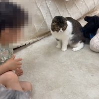 座る子ども、座る猫、手袋