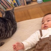 猫と赤ちゃん