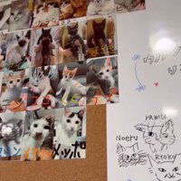 里子に出た子の写真