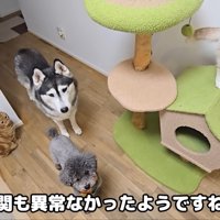 テロップ「玄関も異常～」