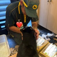 白黒猫とドライバー