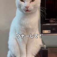 「ウナーして！」と書かれた写真
