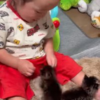 穏やかに見守る赤ちゃん