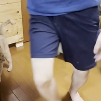 歩いている男の子と目で追う猫