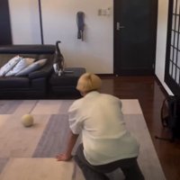 しゃがんで猫が寄ってくるのを待つ男性