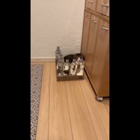 もっと近づいて