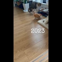 飛び退くふたり