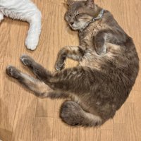 幸せそうな竜太郎くん