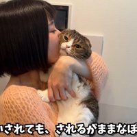 猫吸い