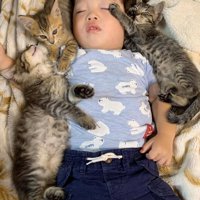 子猫の前足が顔に乗っている子ども