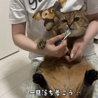 おやつを食べるみにらくん