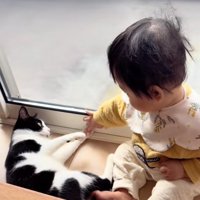 赤ちゃんの手に両前足を伸ばす寝転がった猫