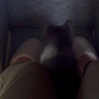 パネルヒーターにいる猫