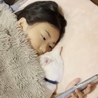 ベッドに寝ている子どもと猫