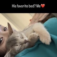 飼い主さんに抱っこされて眠るアビシニアン