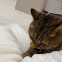 俯く姿
