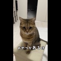 おやつがある時