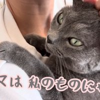 テロップ「ママは私の～」