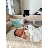 猫と赤ちゃん