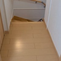 階段下から覗く子猫2