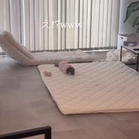 飼い主のフォームローラーの中に入っている猫