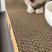子猫の足元