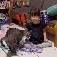 近づいてきた猫に驚きの表情を見せる女の子