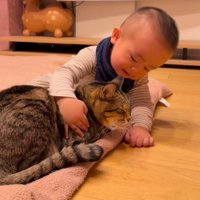 猫をなでる赤ちゃん
