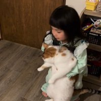 猫を抱っこしようとする女の子