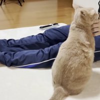 息子さん（ネイビーのジャージ）と猫ちゃん