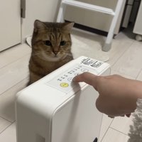 飼い主さんが指で