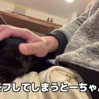 膝の上の貫太さんをモフモフするとーちゃん