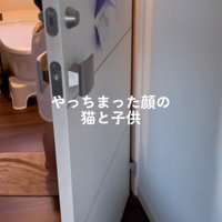 トイレの様子