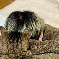 人の背中に乗る猫