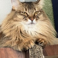 男前ななーさん