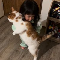 猫を抱っこしようとする女の子