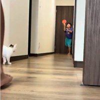 廊下で遊んでいる子どもとそれを見ている子猫