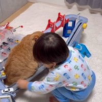 車を走らせる男の子