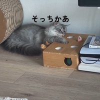 「そっちかあ」と書かれた写真