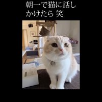 見上げた姿のアップ