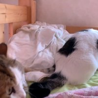 窓の前