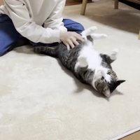 向かって右に転がされ中